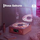 RetrôWaves™ - Caixa Bluetooth Retrô